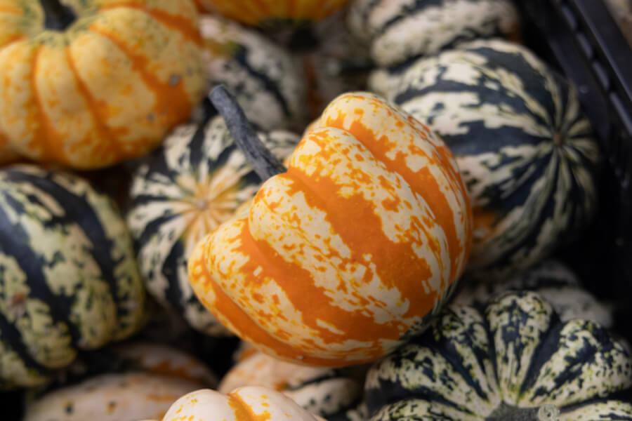 2023 Spooktacular SWMI | October 17-31