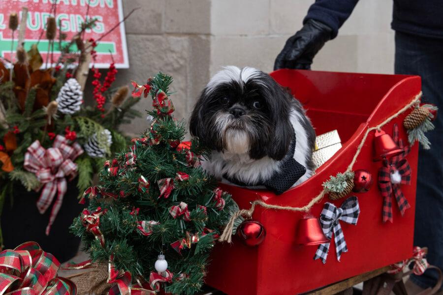 2025 Merry & Bright Weekend | December 5-7