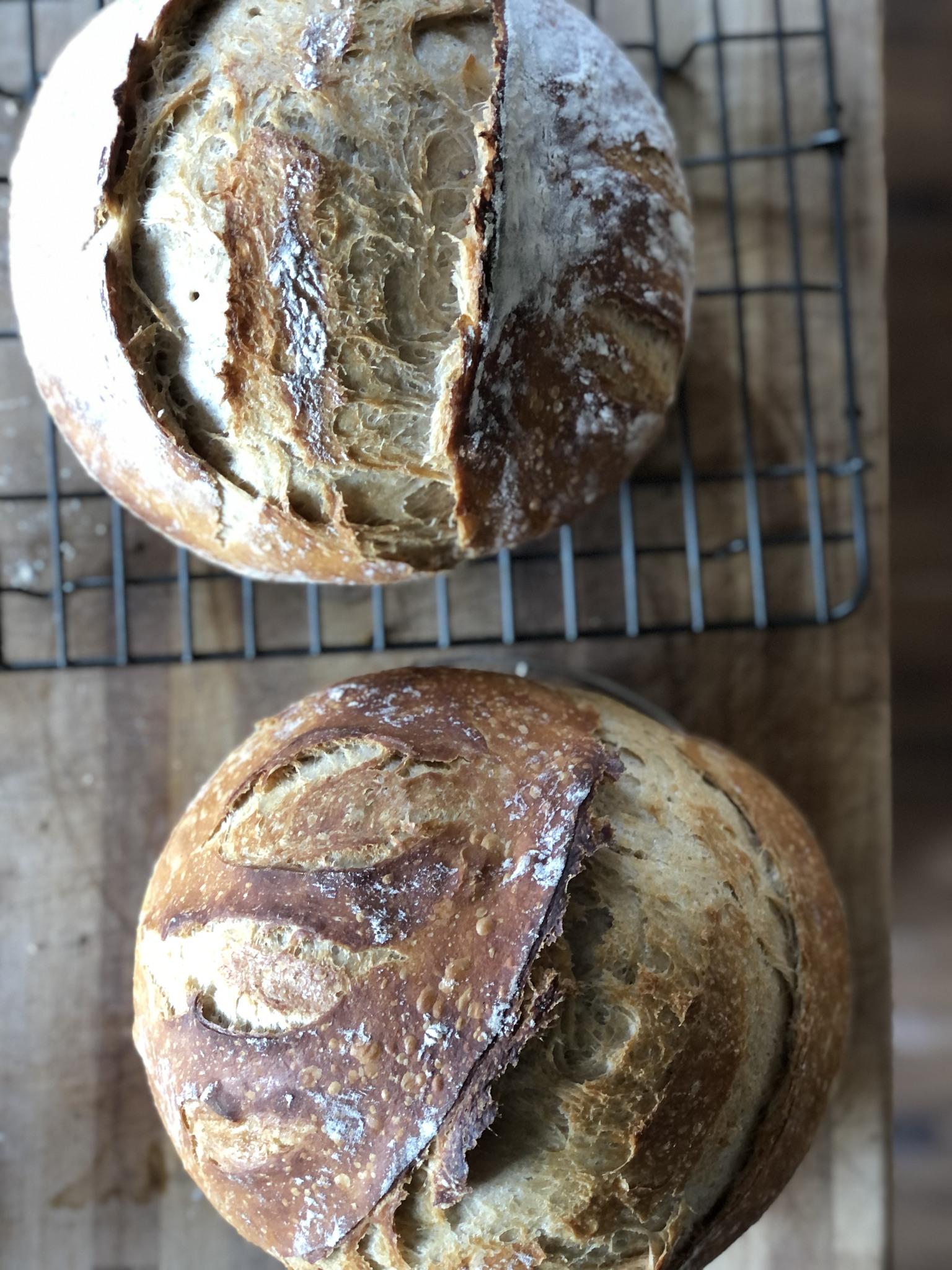 Loafing with Brittney Logo