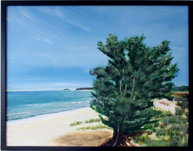 Oil paintings