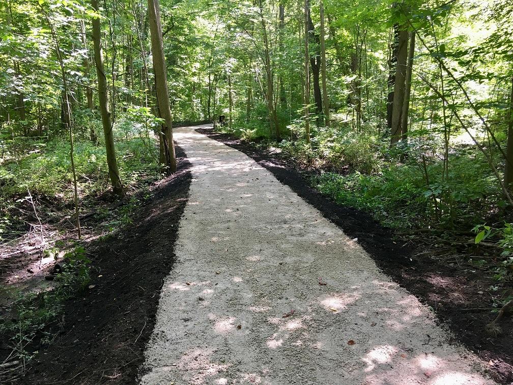 Island Trail view