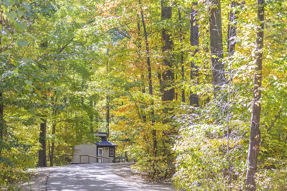 Warren Dunes Campground