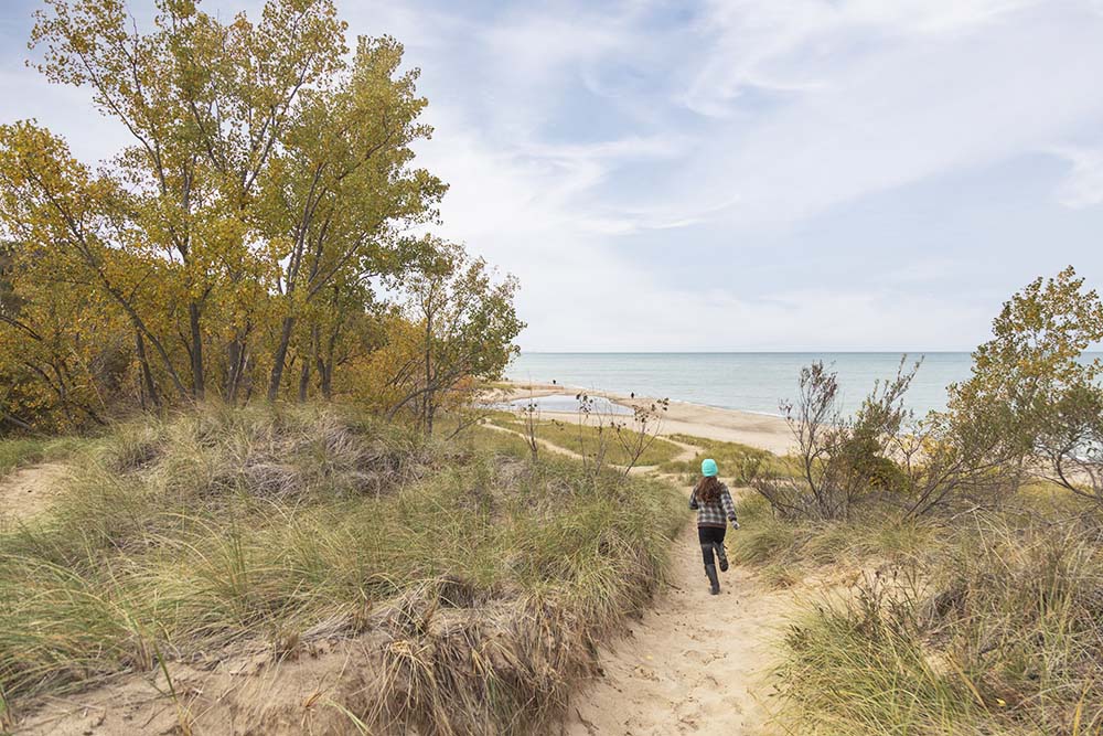 Warren Dunes Fall